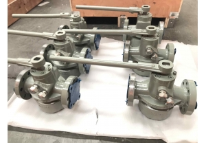 Lubricated plug valve