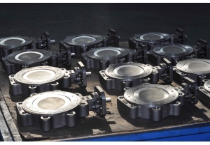 HP Double offset Butterfly Valve