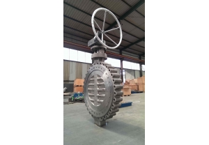 HP Double offset Butterfly Valve