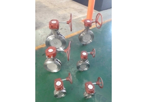 HP Double offset Butterfly Valve