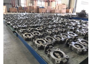 HP Double offset Butterfly Valve