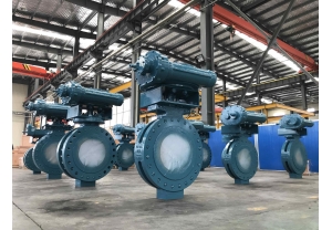 Triple offset Butterfly Valve