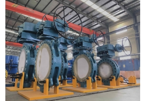 Triple offset Butterfly Valve