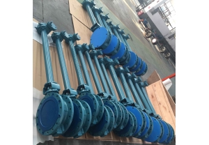 Triple offset Butterfly Valve