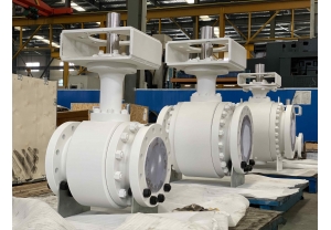 TRUNNION BALL VALVE