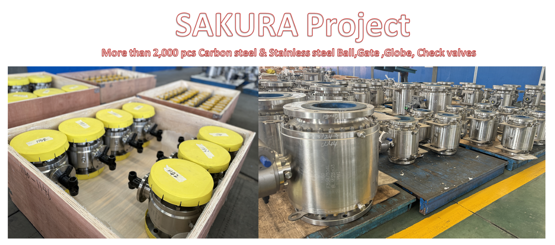 SAKURA Project Shipments(图1)